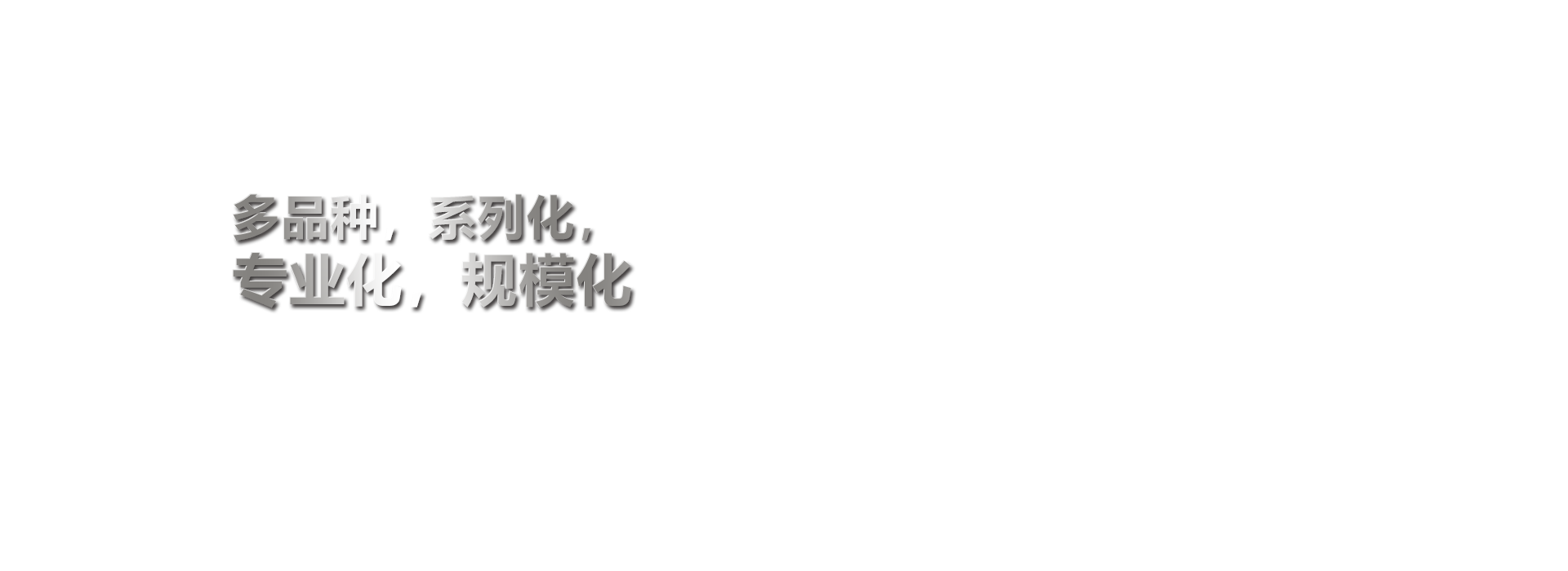 中2